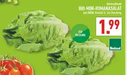 Marktkauf Bioland bio-mini-romanasalat Angebot