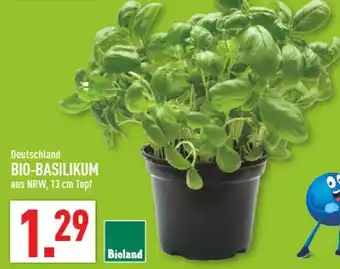 Marktkauf Bioland bio-basilikum Angebot