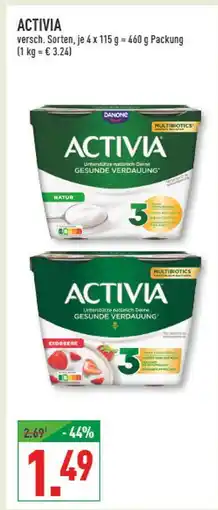Marktkauf Activia natur oder erdbeere Angebot