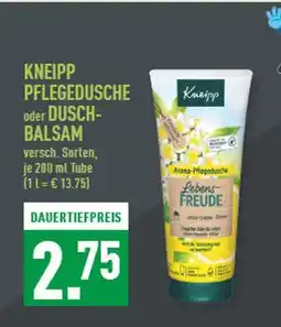 Marktkauf Kneipp pflegedusche oder duschbalsam Angebot