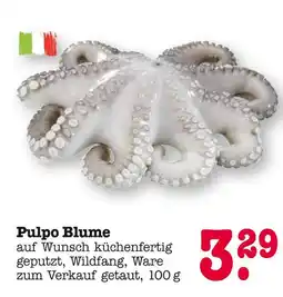 E-Center Pulpo blume Angebot