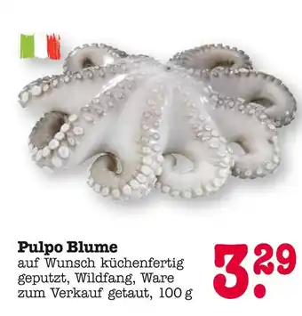 E-Center Pulpo blume Angebot