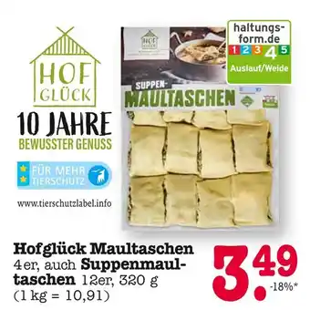 E-Center Hofglück maultaschen Angebot