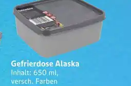 E-Center Gefrierdose alaska Angebot
