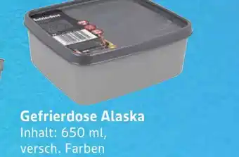 E-Center Gefrierdose alaska Angebot