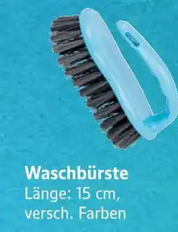 E-Center Waschbürste Angebot