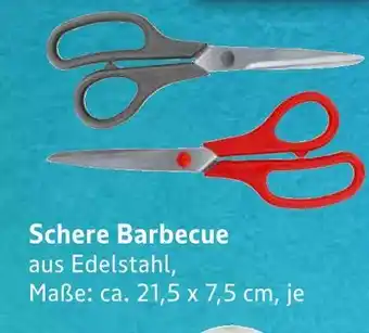 E-Center Schere barbecue Angebot