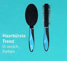 E-Center Haarbürste trend Angebot
