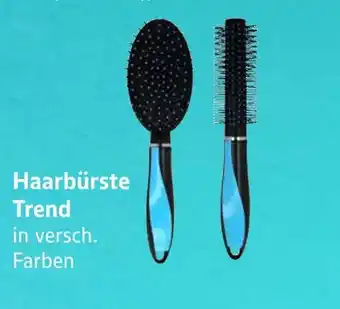 E-Center Haarbürste trend Angebot