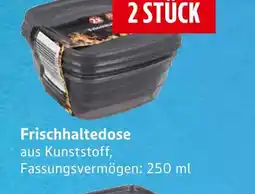 E-Center Frischhaltedose Angebot