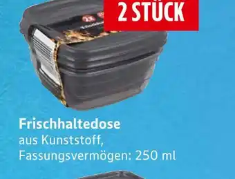 E-Center Frischhaltedose Angebot