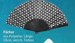 E-Center Fächer Angebot