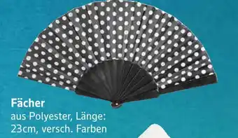 E-Center Fächer Angebot