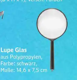 E-Center Lupe glas Angebot