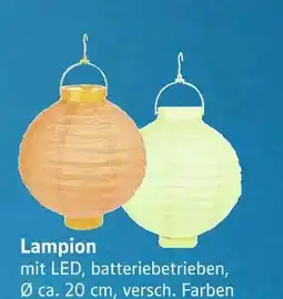 E-Center Lampion Angebot