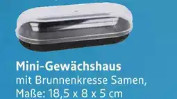 E-Center Mini-gewächshaus Angebot