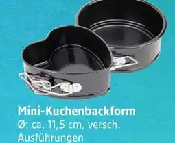 E-Center Mini-kuchenbackform Angebot