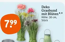 tegut Deko grasbund Angebot