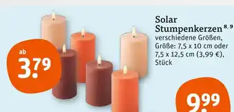 tegut Solar stumpenkerzen Angebot