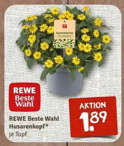 nahkauf Rewe beste wahl husarenkopf Angebot