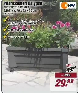 Poco Knw pflanzkasten calypso Angebot