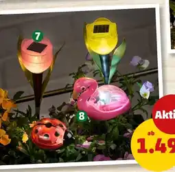 PENNY Solarstecker tulpe oder solarstecker mit tierfigur Angebot