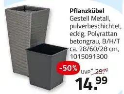 ROLLER Pflanzkübel Angebot