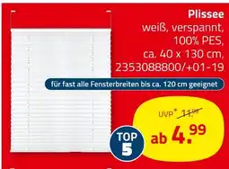 ROLLER Plissee Angebot