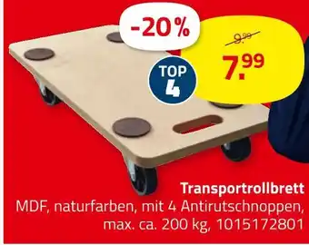 ROLLER Transportrollbrett Angebot