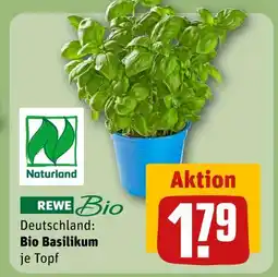 REWE Rewe bio bio basilikum Angebot