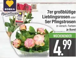 Edeka Edeka 7er großblütige lieblingsrosen oder 5er pfingstrosen Angebot