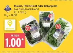 Marktkauf Rucola Angebot