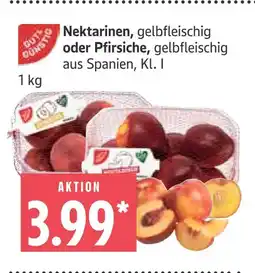 Marktkauf Nektarinen Angebot