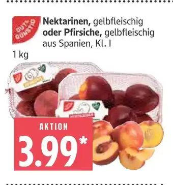 Marktkauf Nektarinen Angebot