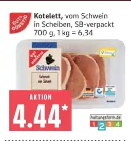 Marktkauf Schwein kotelett Angebot