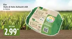 Marktkauf Bio eier huhn & hahn aufzucht vgk Angebot