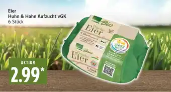 Marktkauf Bio eier huhn & hahn aufzucht vgk Angebot