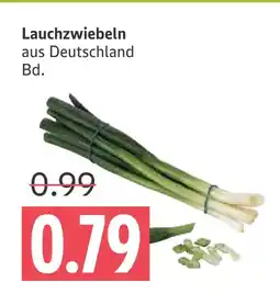 Marktkauf Lauchzwiebeln Angebot