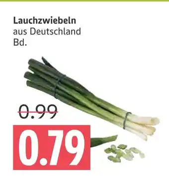 Marktkauf Lauchzwiebeln Angebot