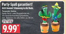 Marktkauf Tanzender kaktus Angebot