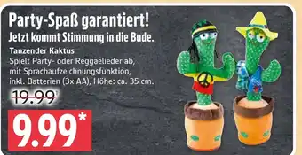 Marktkauf Tanzender kaktus Angebot