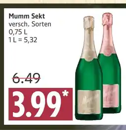 Marktkauf Mumm sekt Angebot