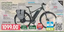 Marktkauf Prophete trekking-e-bike „22.ems.10“ Angebot
