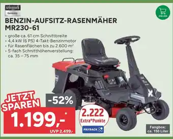 Marktkauf Scheppach benzin-aufsitz-rasenmäher mr230-61 Angebot