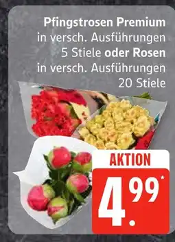 Edeka Pfingstrosen premium Angebot