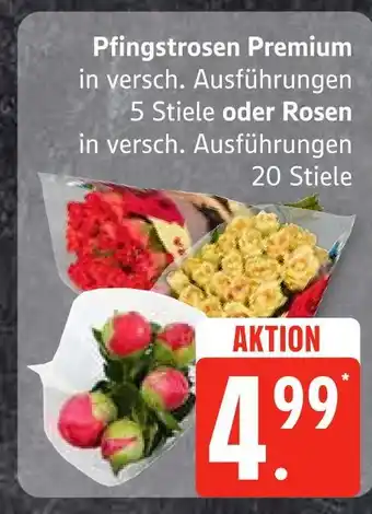 Edeka Pfingstrosen premium Angebot