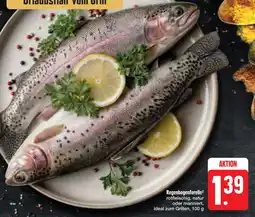 E-Center Regenbogenforelle Angebot