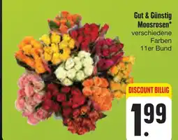 E-Center Gut & günstig moosrosen Angebot