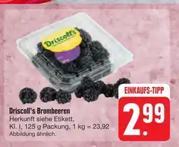 E-Center Driscoll's brombeeren Angebot