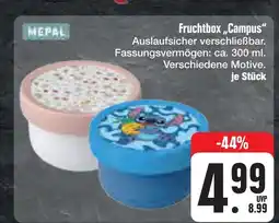 E-Center Mepal fruchtbox „campus“ Angebot